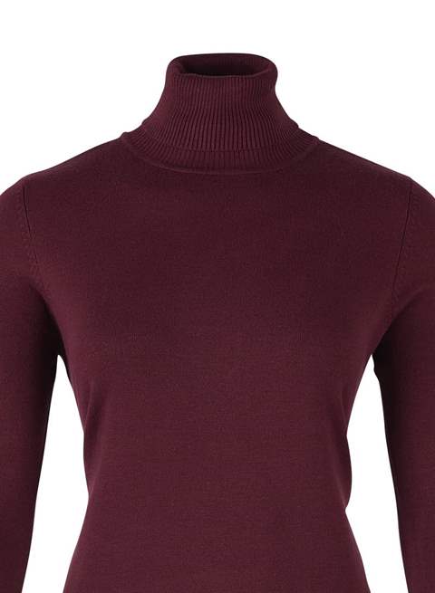 Saint Tropez Turtleneck Knit